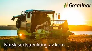 Norsk Kornsortsutvikling
