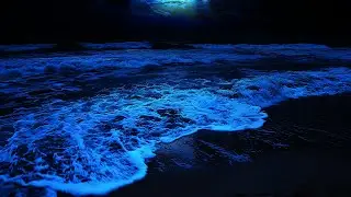 Fall Asleep All Night By The Ocean | Rolling Waves For Deep Sleeping | Dark Screen 24 Hours