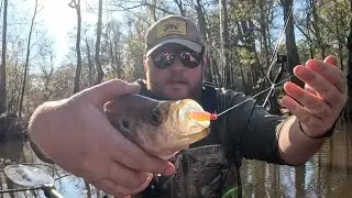 These Zman Micro TRDs Could Be The Best Panfish Baits Ever!