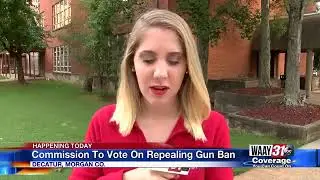 Morgan county commission gun vote