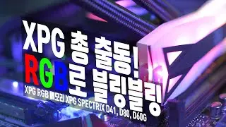 톡톡 튀는 디자인, XPG SPECTRIX RGB 메모리 (D40, D60G, D80)