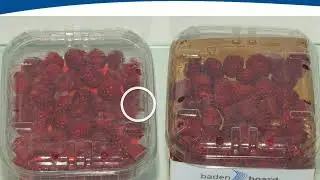 Baden Board Against Food Waste (without audio)