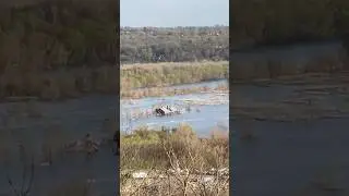 Ohio River Flood BURIES HOUSE and Soccer Field Under Water!