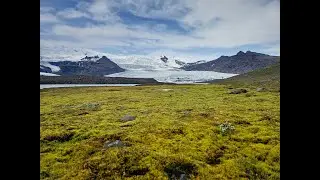 Iceland Vlog Guide - Day4 East | Glaciers Hiking, Icebergs, Fjords, Seals