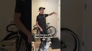 STOP Dog from FLYING Out Doors⁉️🚪🛑🐕
