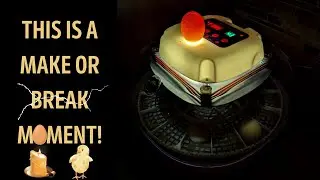 HOW TO: Candling Our 13 Silkie Eggs In The Nurture Right 360 Home Incubator!