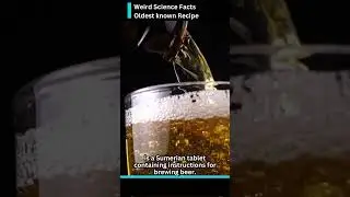 The Ancient Brew