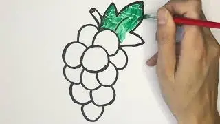 Grapes Drawing and Coloring for Kids | Let's Learn Fruits