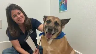 KPRC 2 Pet Project: Meet Penny!