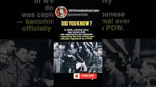 Why a British Dog Became a POW in WWII #history #facts #didyouknowhistory