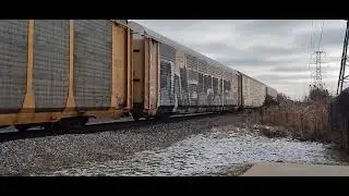 EX CITRAIL SOLOS E251