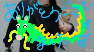 【2023年大晦日　新しいマイク入手edition 】 There will be love there -愛のある場所-/the brilliant green 歌ってみた