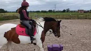 26th June 2022: Riding Lesson with Bec - part 2