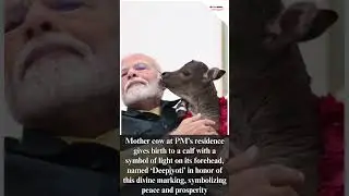 🔴PM Modi Welcomes New Calf &lsquo;Deepjyoti&rsquo;