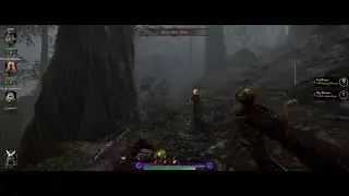 rat killing stream - Warhammer: Vermintide 2 VOD #1