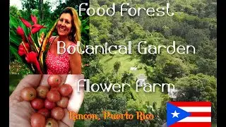 Our Botanical Gardens Spring to Summer 2024 Update: Food Forest, Flower Farm and Finding Plants