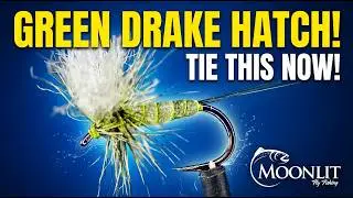 Green Drake Hatch IMMINENT! Tie the AeroFoam Guide Series Dry Fly NOW! (Fly Tying Tutorial) #dryfly