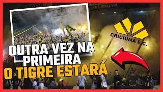 OUTRA VEZ NA PRIMEIRA O TRIGRE ESTAR&Aacute; - OS TIGRES TORCIDA DO CRICIUMA