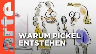 Was tun gegen Pickel, Akne und Mitesser? | Wer nicht fragt, stirbt dumm Reupload | ARTE