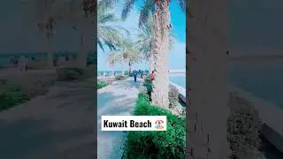 Kuwait Beach🏖️#shorts #viralshorts #ytshorts #viral #kuwaitbeach #trending #beach #rahmanofficial