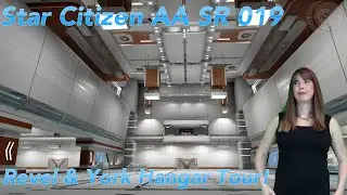 Star Citizen AA SR019 Revel & York Hangar Tour!