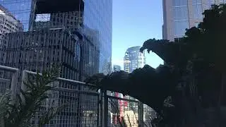 City Vibe. Rooftop Garden #34: Nature Sounds, Distant Traffic & Urban Skyline