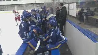 Junior Sabres host cancer awareness game
