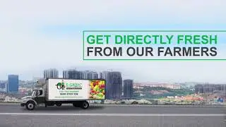 E-Green Market Promo Video Work by Yokemate