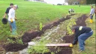 Environmental Tree Planting - Mount St. Mary's University