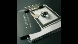 Black Twist & Turn Silver Snake Ring