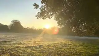 #London life morning #internatonalstudents