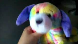My random webkinz