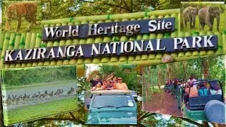 Kaziranga National Park -Jeep Safari #asam #tourism #like #subscribe #comment #tourpackages