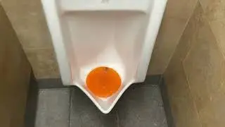 3,906. Pilot Travel Center Men&rsquo;s Restroom