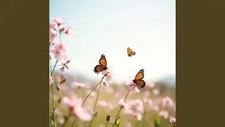 Springtime with Geo San