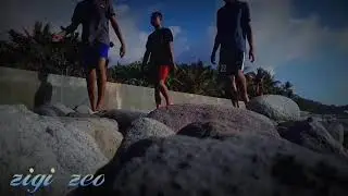 Zigi zeo