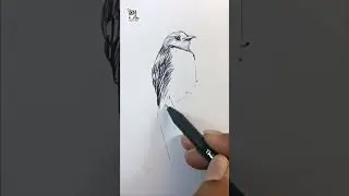 Bird Art with Pen #shorts #art #penart