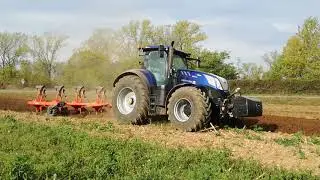 New holland t7315 + aratro pentavomere