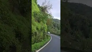 beautiful Goa road at Anmod ghat #nature #anmodghat #scenery #relaxing