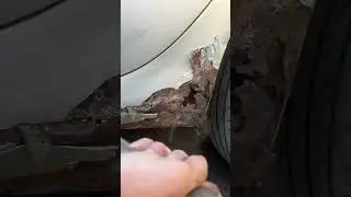 Saab ng9-5 rotting away