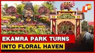 Annual Flower Exhibition At Ekamra Park Transforms Bhubaneswar Into A Floral Wonderland | Odisha
