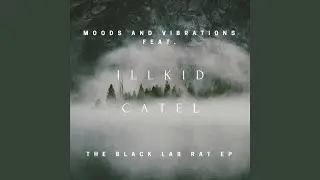Illkid Origins (feat. Illkid Catel)