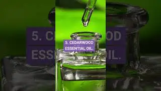 7 Essential Oils That Reduce Stress Instantly