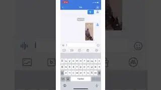Платежи с помощью чат ALD Pay