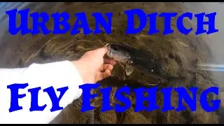 Urban Ditch Fishing With a 3 Weight Fly Rod