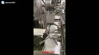 SWT AT 36150F auto cable tie machine with robot for fully auto bag sealing