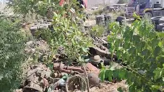 Smuggled Goods and vehicles Confiscated at Customs Warehouse Lahore Pakistan