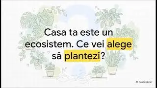 Plante &icirc;n casă: care sunt prieteni și care &icirc;ți pot face rău!
