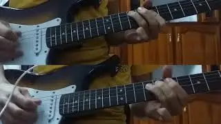 Red Hot Chilli Peppers - THE RIGHTEOUS & THE WICKED (Solo cover)