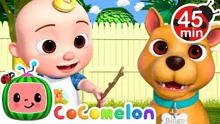 🐶Puppy Play Date | Cocomelon 🍉 | Kids Learning Songs! |  Sing Along Nursery Rhymes 🎶
